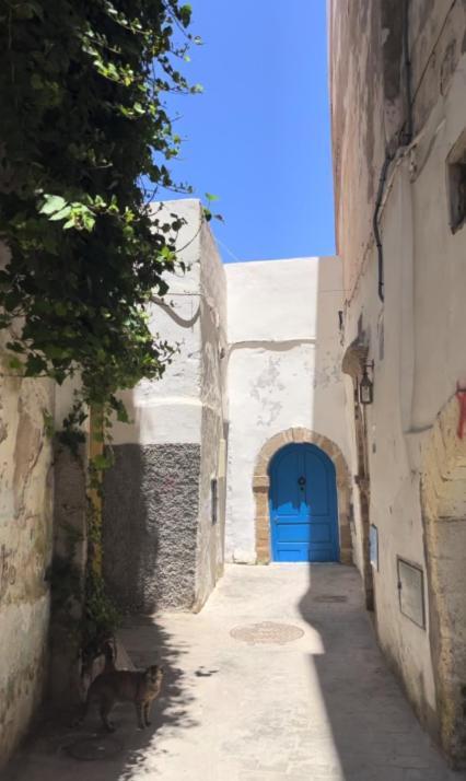 Riad Petite Reverie Essaouira Ngoại thất bức ảnh